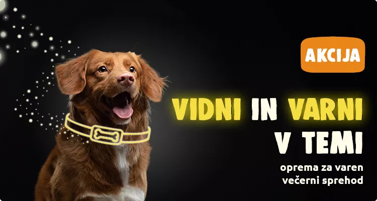 Varni in vidni Mr.Pet